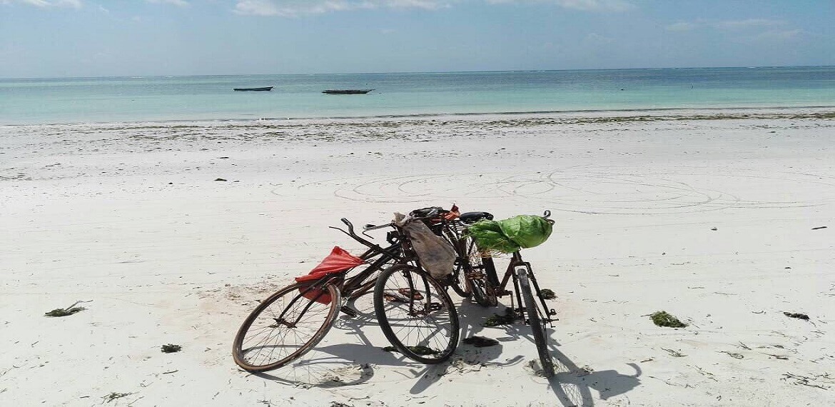 Beach of Zazibar with white sand and 2 bicycles with blue ocean in the background