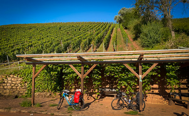 2 bikepack bicycles with a vineyard in the background