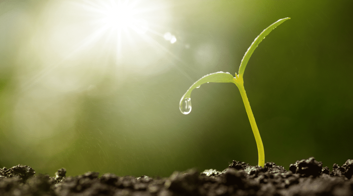 Sportswear Sustainability Certifications