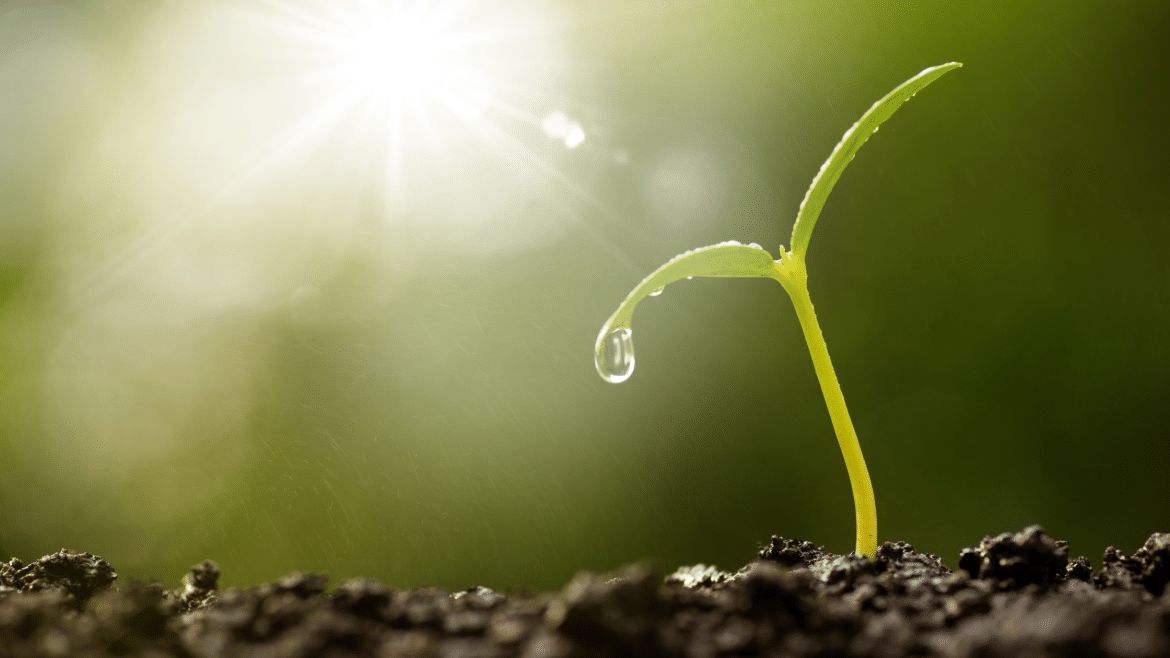 Sportswear Sustainability Certifications